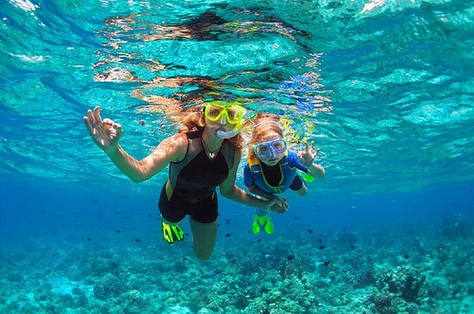 Family Snorkeling Adventure Punta Cana - Who should book this Punta Cana outing