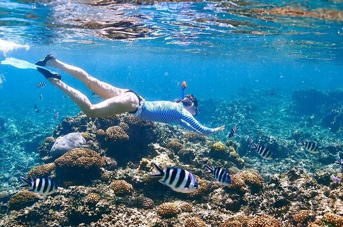 Family Snorkeling Adventure Punta Cana - Should you book the Family Snorkeling Adventure?