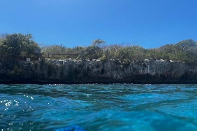 Fantastic Catalina island, beach and depth - The crew and the small-group format