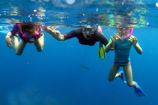 Fantastic Catalina island, beach and depth - Who will get the most from this Catalina tour