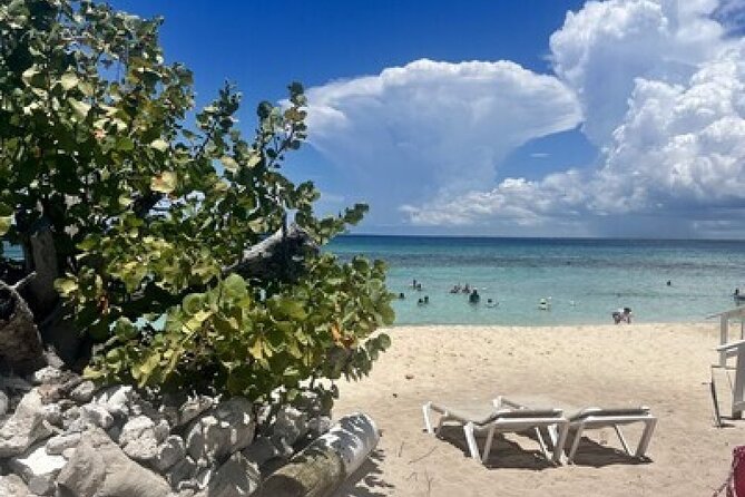 Fantastic Catalina island, beach and depth - Starting in Bayahibe at 8:30 in the morning