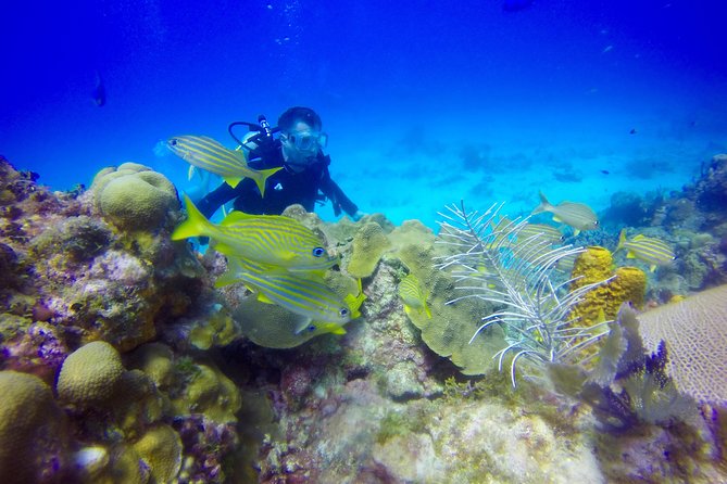 First Time Scuba Diving Experience in Punta Cana - Why the instructor matters on a first attempt