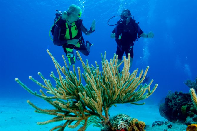 First Time Scuba Diving Experience in Punta Cana - Small groups make the morning easier