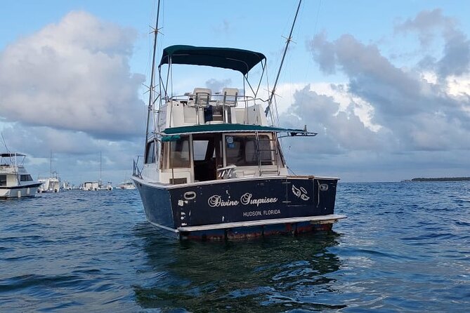 FISHING PRO CHARTERS - Boat Excursion - Divina - How rough is the water?