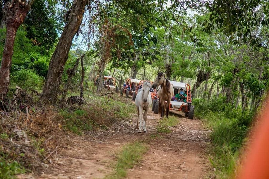 Flintstones Buggy, Cave and Adventure in Bavaro - What $60 includes, and what it does not
