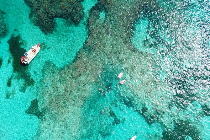 Float & Feast Private Party Cruise with Premium Buffet & Open Bar - Snorkeling, swimming, and the natural pool