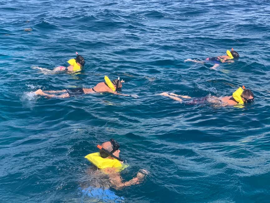 From Punta Cana: Catalina Island Swim, Sail & Snorkel - Who will enjoy this Catalina day trip