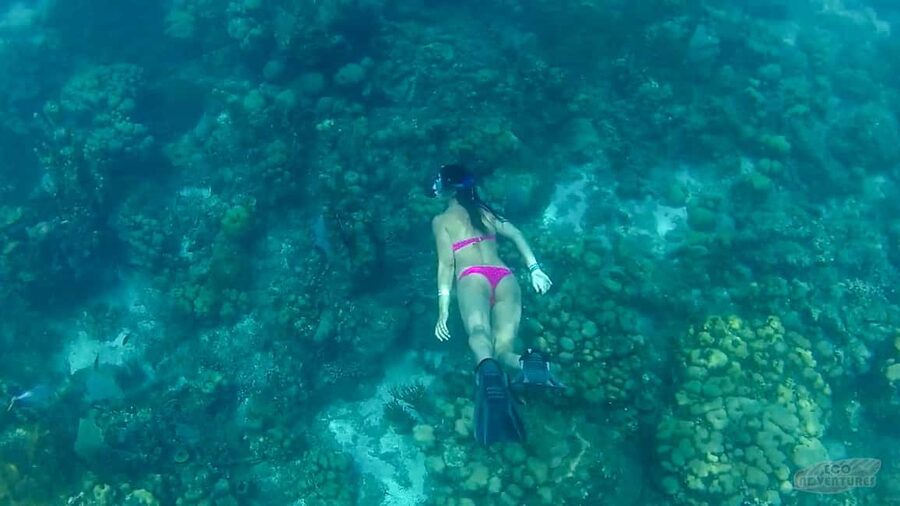 From Punta Cana: Catalina Snorkeling & Altos de Chavon Tour - Why this Punta Cana day trip works