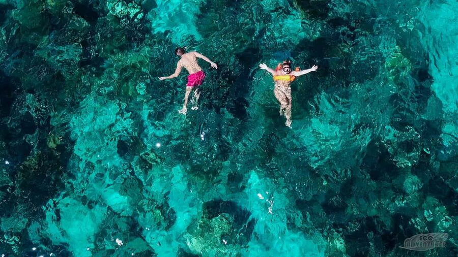 From Punta Cana: Catalina Snorkeling & Altos de Chavon Tour - What to expect at La Pared snorkeling site