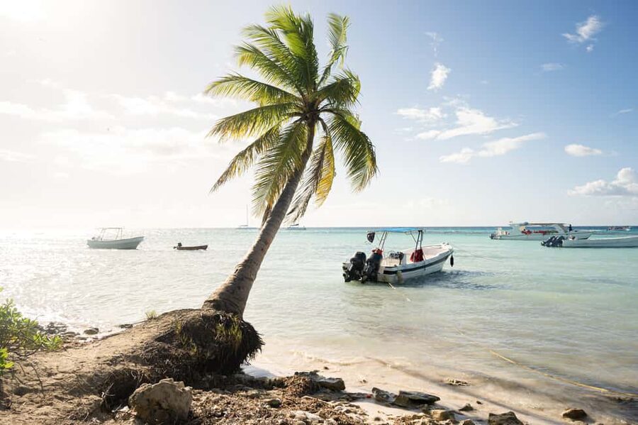 From Punta Cana: Catamaran Tour to Saona Island with Open Bar and Buffet - Why this Punta Cana day trip works