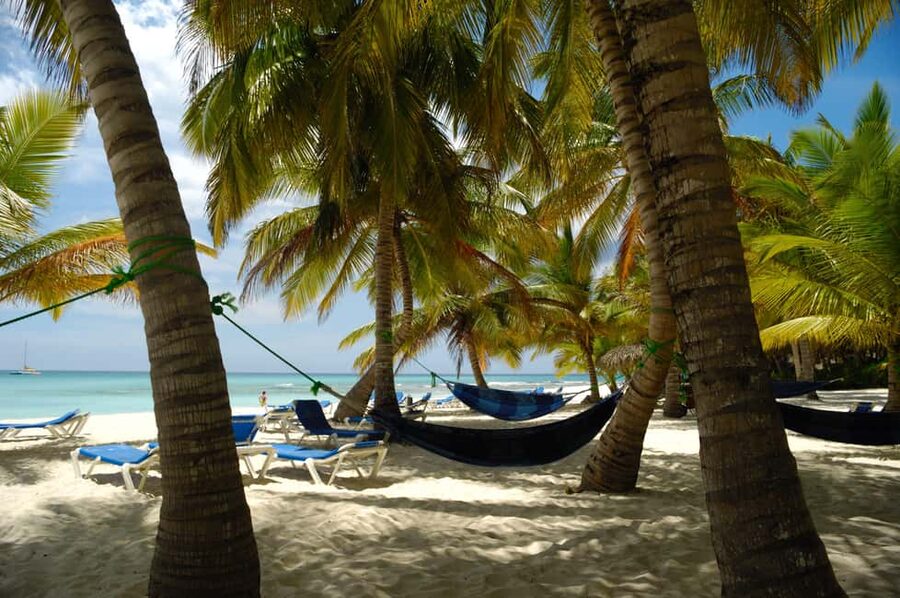 From Punta Cana: Catamaran Tour to Saona Island with Open Bar and Buffet - A Dominican buffet lunch by the beach