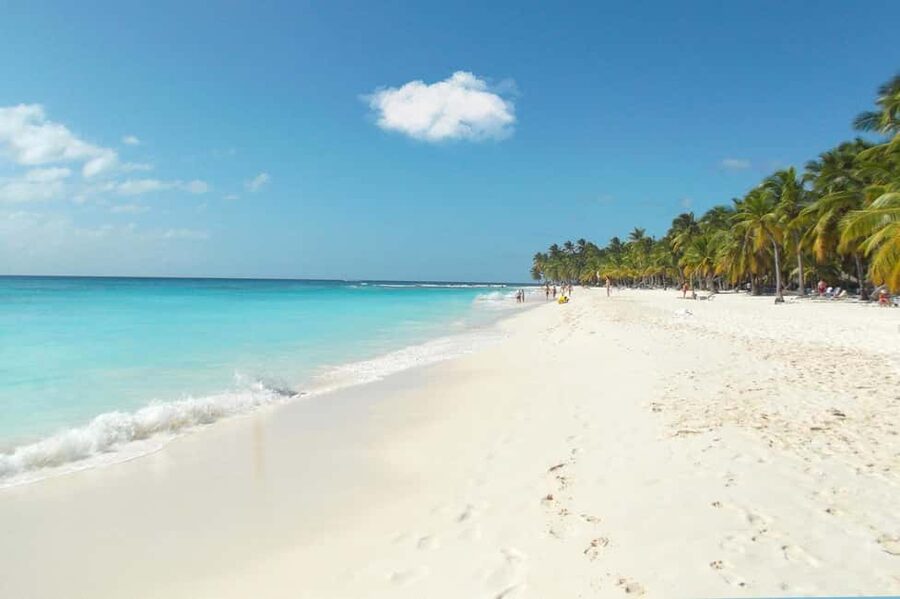 From Punta Cana: Catamaran Tour to Saona Island with Open Bar and Buffet - What the day feels like in practice