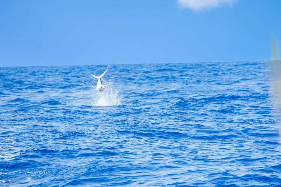 From Punta Cana: Deep Sea Fishing Tour by Boat with Drinks - Drinks are covered, lunch is not