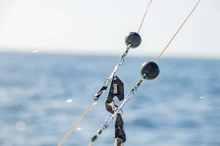 From Punta Cana: Deep Sea Fishing Tour by Boat with Drinks - What four hours on the boat really means