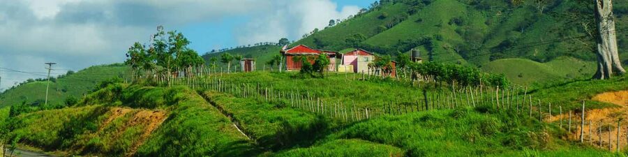 From Punta Cana: Higüey Guided Safari Tour - Walking Higüey and viewing the municipal market