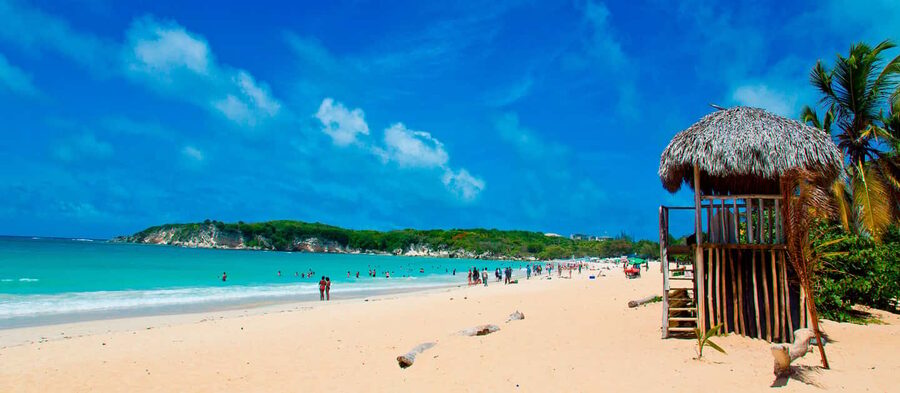 From Punta Cana: Higüey Guided Safari Tour - Swimming in a clear-water river