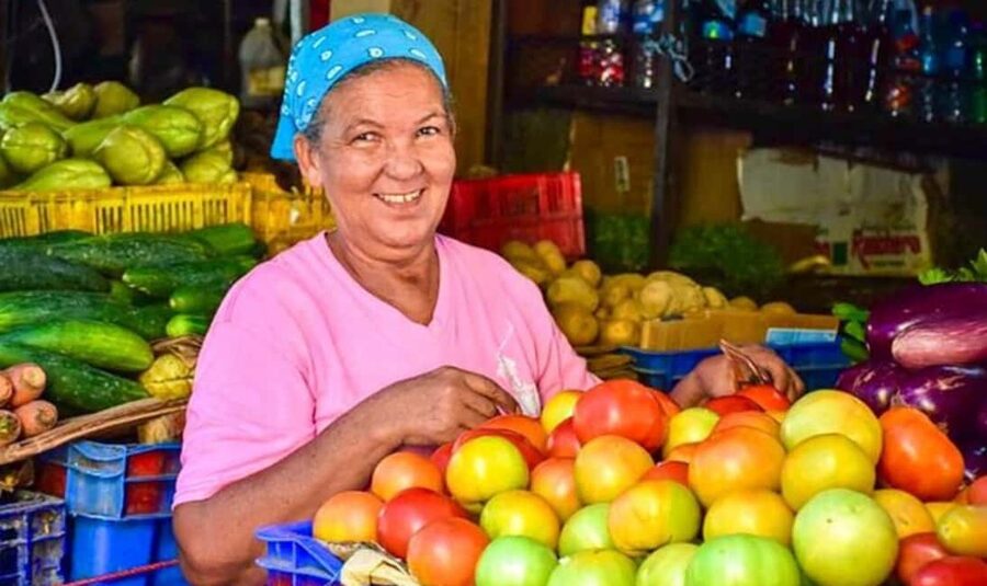 From Punta Cana: History and Culture Tour with River Swim - Coffee, cocoa, vanilla, and fruit at a countryside farm