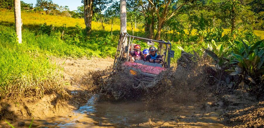 From Punta Cana: Jungle Buggy Adventure to Anamuya River - Learning the Honda Pioneer 700