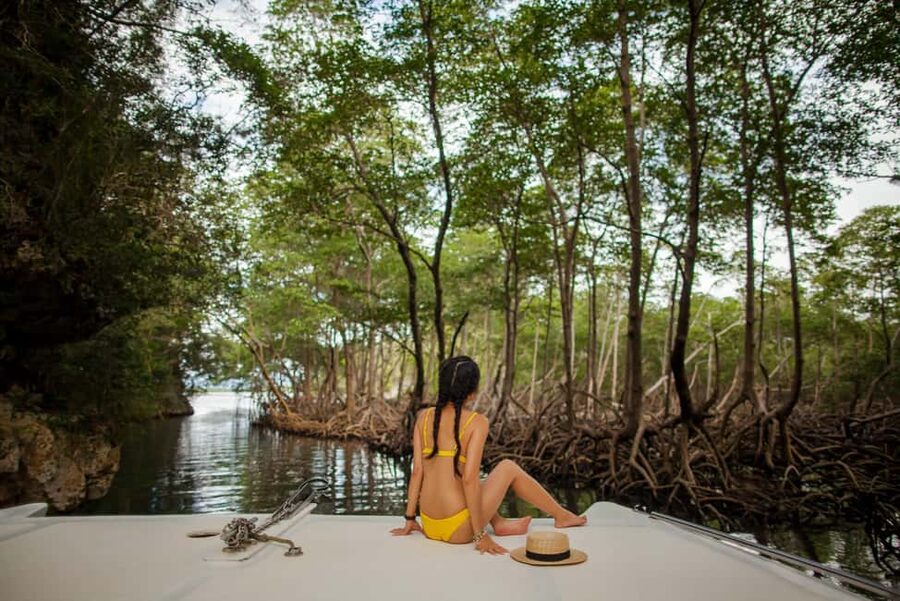 From Punta Cana: Los Haitises & Caño Hondo Private Boat Tour - Why Los Haitises makes the long ride worthwhile