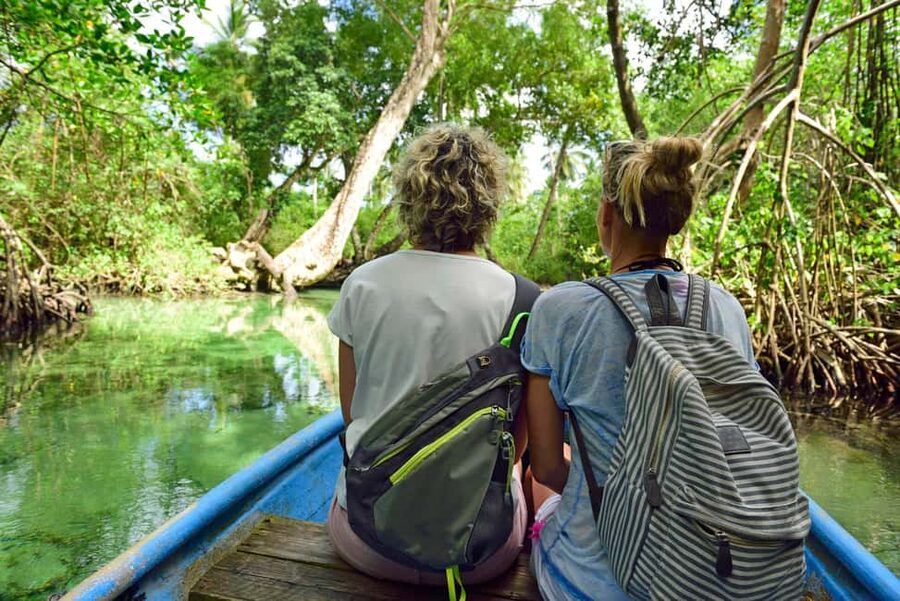 From Punta Cana: Los Haitises & Caño Hondo Private Boat Tour - Boarding at Caño Hondo and entering the mangroves