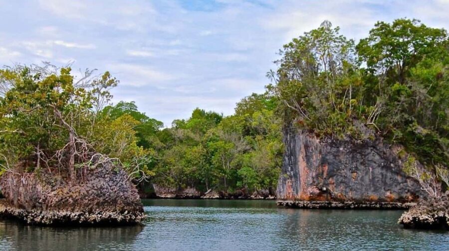 From Punta Cana: Los Haitises Guided Day Tour - Riding the jeep to Montaña Redonda