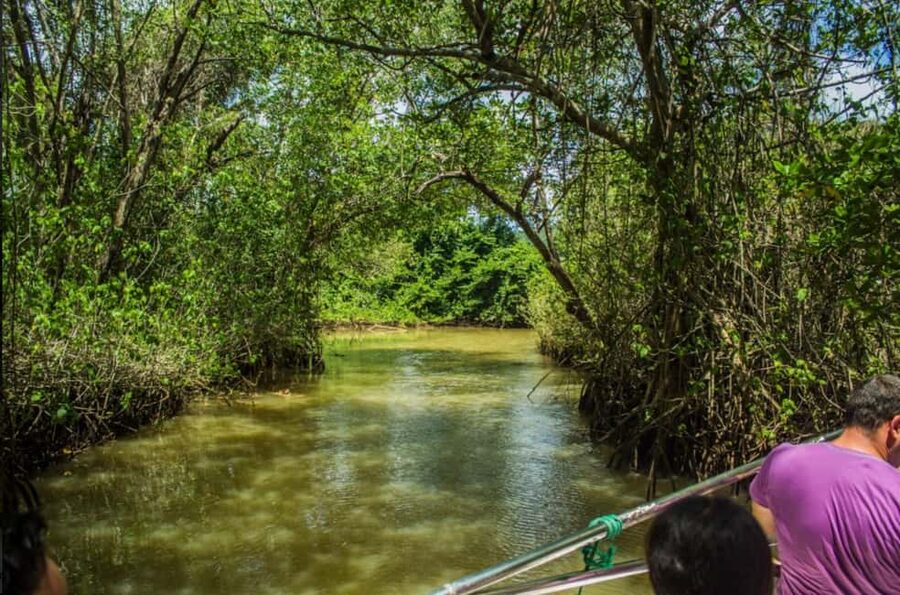From Punta Cana: Los Haitises Guided Day Tour - How the itinerary feels as a full day