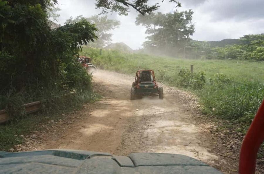 From Punta Cana or La Romana: Sugarcane Fields Buggy or Quad - What the Three-Hour Ride Is Really Like