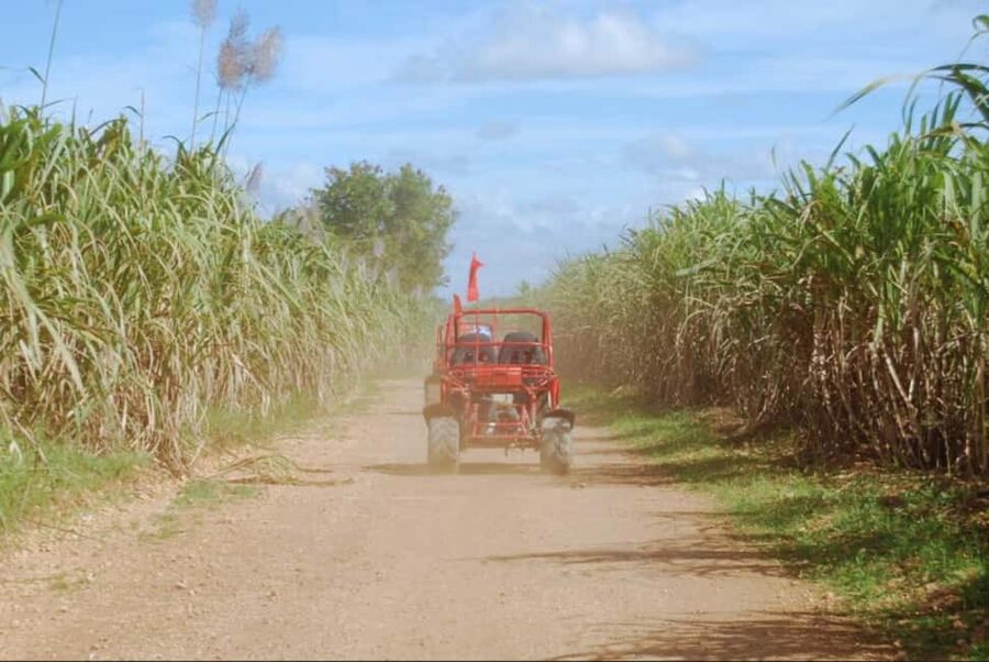 From Punta Cana or La Romana: Sugarcane Fields Buggy or Quad - Mud Puddles, Slopes, and the Roughest Section