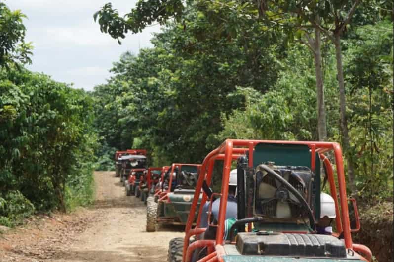 From Punta Cana or La Romana: Sugarcane Fields Buggy or Quad - Booking Tips for a Better Day