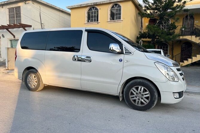 From Punta Cana Private Airport (PUJ) Shuttle To Hotel - Arriving at Punta Cana International Airport