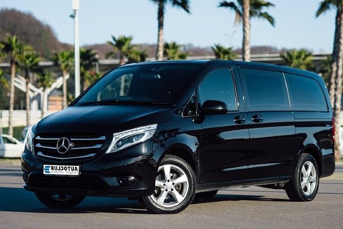 From Punta Cana Private Airport (PUJ) Shuttle To Hotel - A driver who handles the practical chores