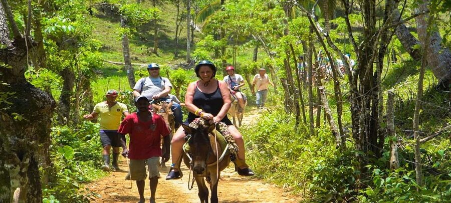 From Punta Cana: Samana Full Day Trip by Bus and Boat - What the $135 price really covers