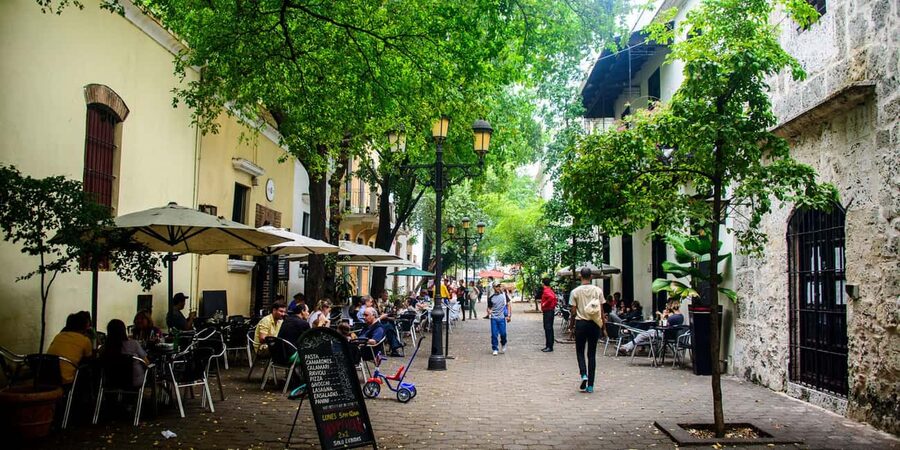 From Punta Cana: Santo Domingo Full-Day Tour with Lunch - Why this Santo Domingo day trip is worth considering