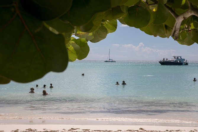 From Punta Cana: Saona Island & Altos de Chavon Day Trip with Lunch and Open Bar - The natural pool stop and the ride to Saona