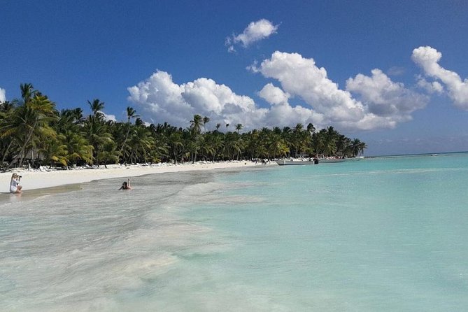 From Punta Cana: Saona Island Full Day For Small Group Catamaran - The natural pool and its starfish
