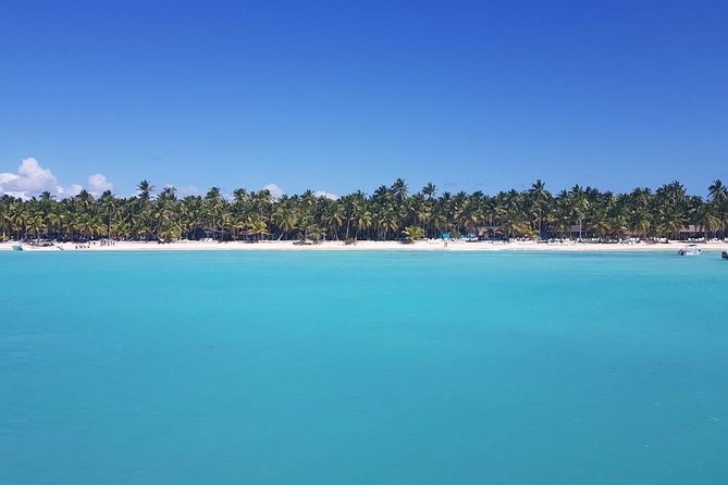From Punta Cana: Saona Island Full Day For Small Group Catamaran - Buffet lunch and the open bar