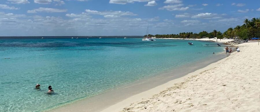 From Punta Cana: Saona Island Full-Day Tour with Lunch - From Punta Cana to Bayahibe by hotel transfer