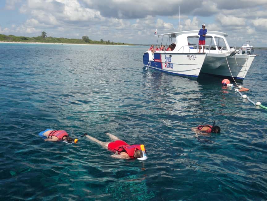 From Punta Cana: Saona Island Full-Day Tour with Lunch - The natural swimming pool, 30 minutes in clear shallow water