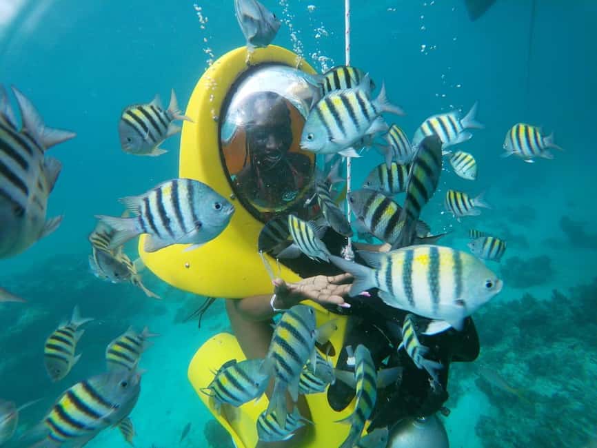 From Punta Cana: ScubaDoo, Snorkel & Glass Bottom Boat Tour - Key points at a glance