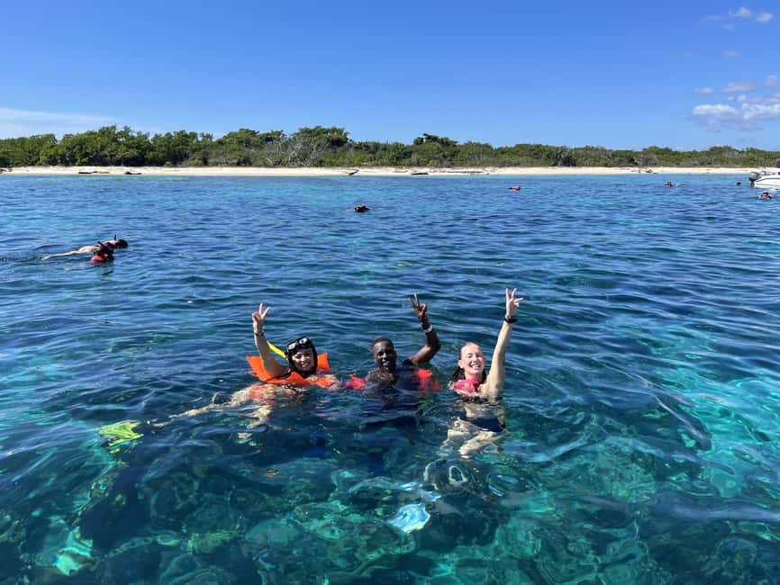 From Punta Cana: Small Group Catalina Island Snorkeling Tour - Catalina’s Wall and Aquarium make the day worth considering