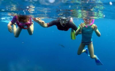 Small Group Catalina Island Snorkeling Tour