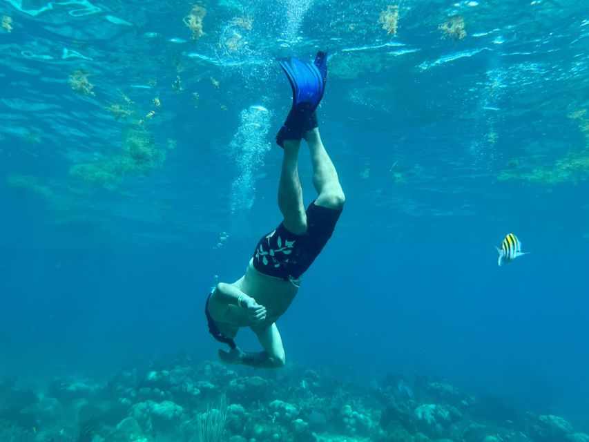 From Punta Cana: Small Group Catalina Island Snorkeling Tour - Transfers from Punta Cana add time and value