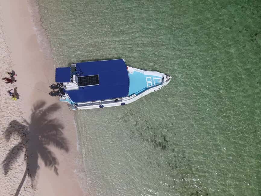 From Punta Cana: Small Group Catalina Island Snorkeling Tour - Is $128 a fair price?