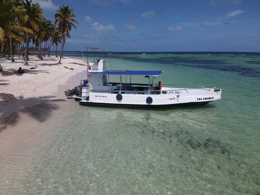 From Punta Cana: Small Group Catalina Island Snorkeling Tour - Who will enjoy this Catalina day most?