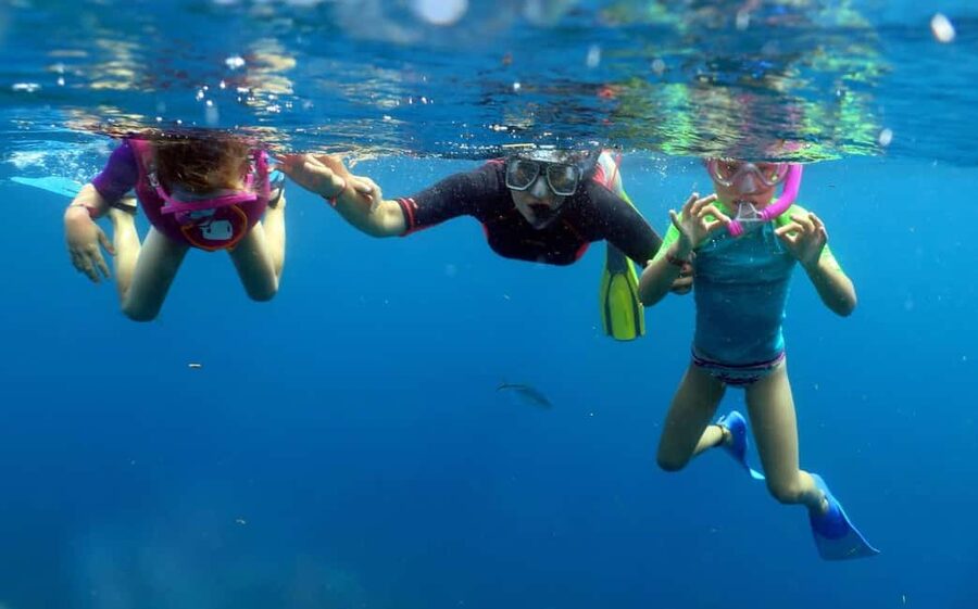 From Punta Cana: Small Group Catalina Island Snorkeling Tour - The 45-foot boat keeps the group manageable