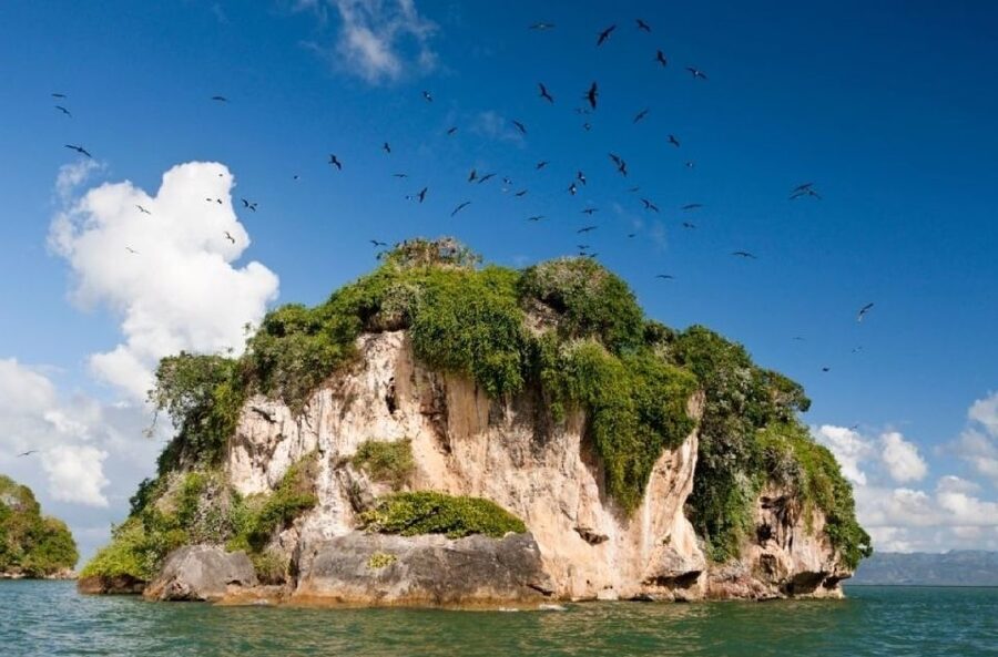 From Samana: Los Haitises Boat and Walking Tour with Lunch - Timing, transport, and group size
