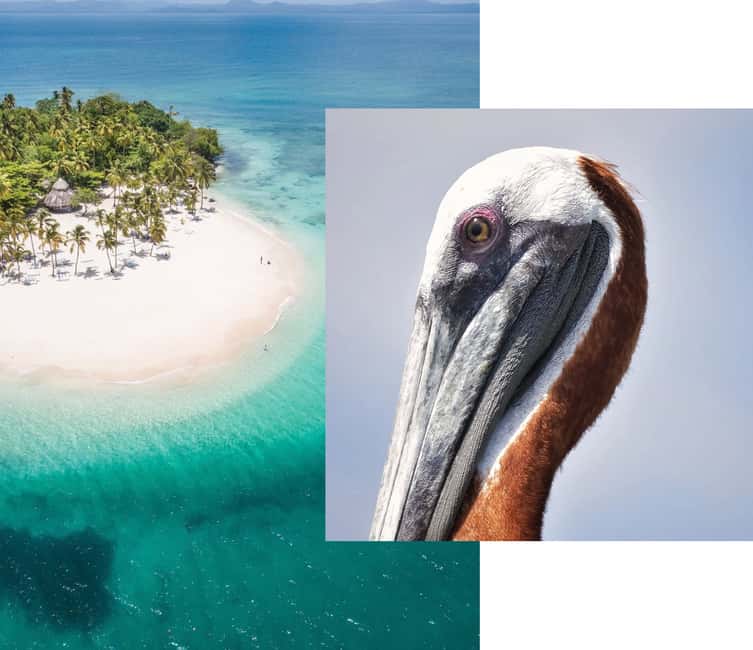 From Samana: Los Haitises Boat and Walking Tour with Lunch - Who will enjoy this tour most