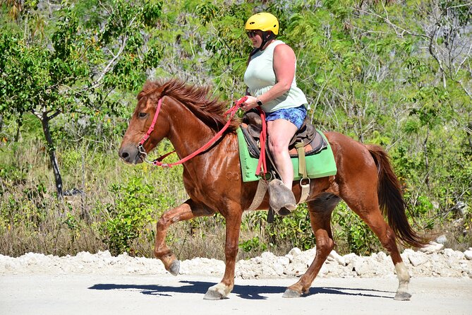 Full Access To Bavaro Adventure Park - With Buggys & Lunch - Dominican lunch, drinks, and the real cost of the day