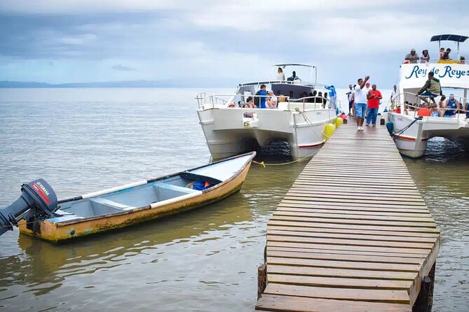 Full Day Bacardi Whale Watching - End Season March 30th - Is $165 a fair price?