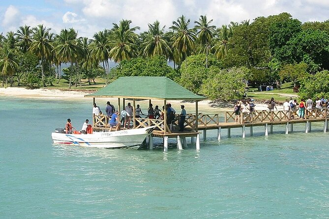 Full Day Bacardi Whale Watching - End Season March 30th - Who will enjoy this excursion most